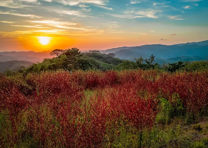The Retreat At Blue Mountain Farms Villa