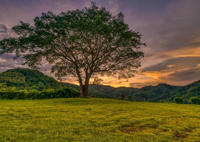 The Retreat At Blue Mountain Farms *