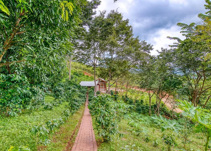 The Retreat At Blue Mountain Farms